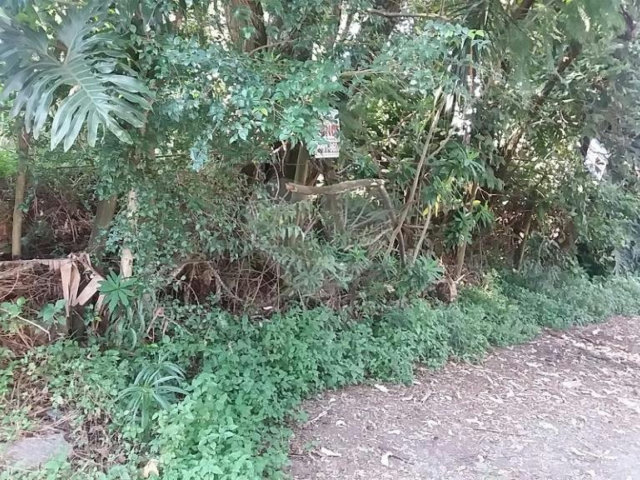 Terreno à venda em Tremembé, São Paulo, SP