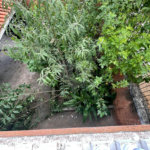 Sobrado à venda com 3 suítes em Santa Teresinha, São Paulo, SP