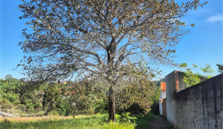 Terreno à venda em Chácaras São Bento, Valinhos, SP