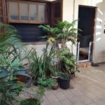 Sobrado à venda com 3 quartos, sendo 1 suíte,  em Santana, São Paulo, SP