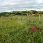 Terreno à venda em Área Rural de Guareí, Guareí, SP