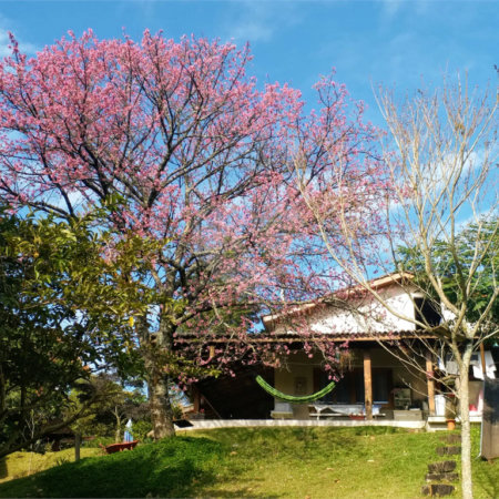 Chácara à venda com 4 quartos em Jardim Arujá, Arujá, SP