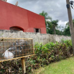 Chácara à venda com 4 quartos no Centro, Araçoiaba da Serra, SP