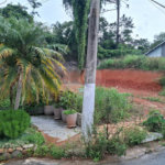 Terreno à venda em Vila Albertina, São Paulo, SP