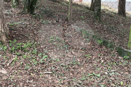 Terreno à venda em Jardim Maristela, Atibaia, SP