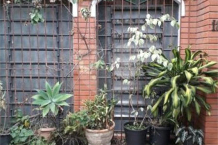 Casa à venda com 3 quartos, sendo 1 suíte,  em Rio Pequeno, São Paulo, SP
