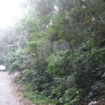 Terreno à venda em Tucuruvi, São Paulo, SP