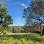 Terreno à venda em Chácaras São Bento, Valinhos, SP