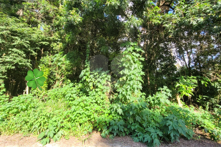 Loteamento à venda em Canjica (terra Preta), Mairiporã, SP