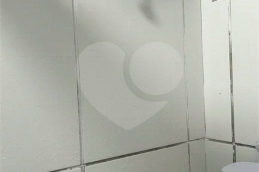 Apartamento à venda com 2 quartos em Parque Novo Mundo, São Paulo, SP