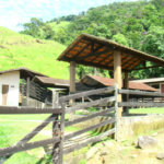 Fazenda à venda com 7 quartos, sendo 3 suítes, em Professor Souza, Casimiro de Abreu, RJ