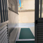 Apartamento para alugar com 1 quarto em Tucuruvi, São Paulo, SP