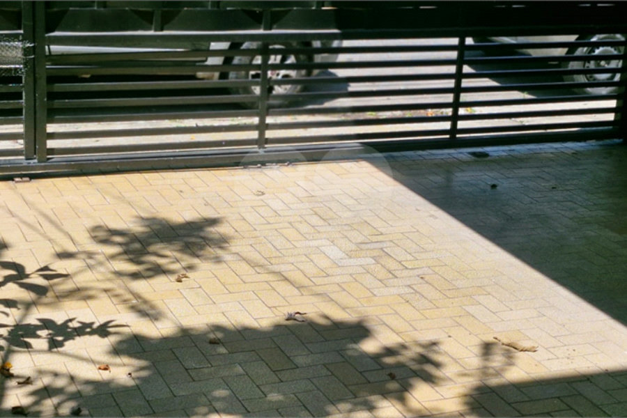 Sobrado à venda com 3 quartos em Parque Edu Chaves, São Paulo, SP