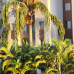 Apartamento à venda com 2 quartos em Mandaqui, São Paulo, SP