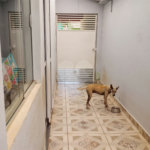 Casa à venda com 2 quartos no condomínio Silvino Manoel dos Santos, Itapetininga - SP