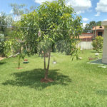Chácara à venda com 2 quartos no Centro, Araçoiaba da Serra, SP