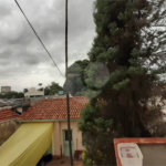 Casa à venda com 3 quartos em Santana, São Paulo, SP