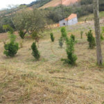 Chácara à venda com 4 quartos, sendo 1 suíte,  em Loteamento Quinta da Mata, Ibiúna, SP