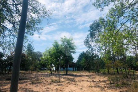 Sítio à venda com 3 quartos em Área Rural de Três Lagoas, Três Lagoas, MS