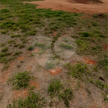 Área de Terra à venda no Centro, Bom Jesus dos Perdões, SP
