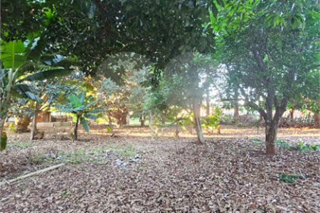 Terreno à venda em Jardim dos Estados, Ponta Porã, MS