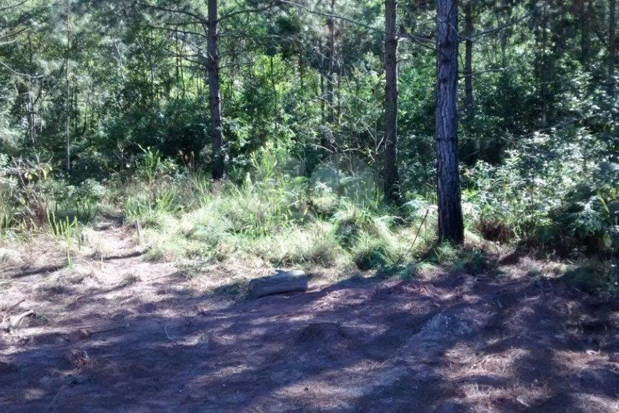 Terreno à venda em Jardim Glória, Miracatu, SP