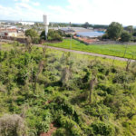 Área de Terra à venda no Centro Empresarial e Industrial Omar Maksoud, Araraquara, SP