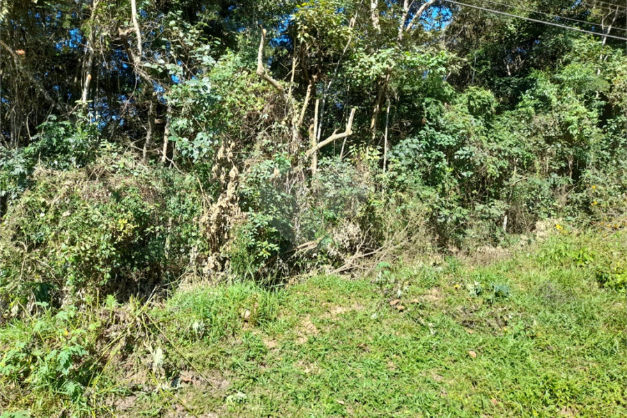 Terreno à venda em Roseira, Mairiporã, SP