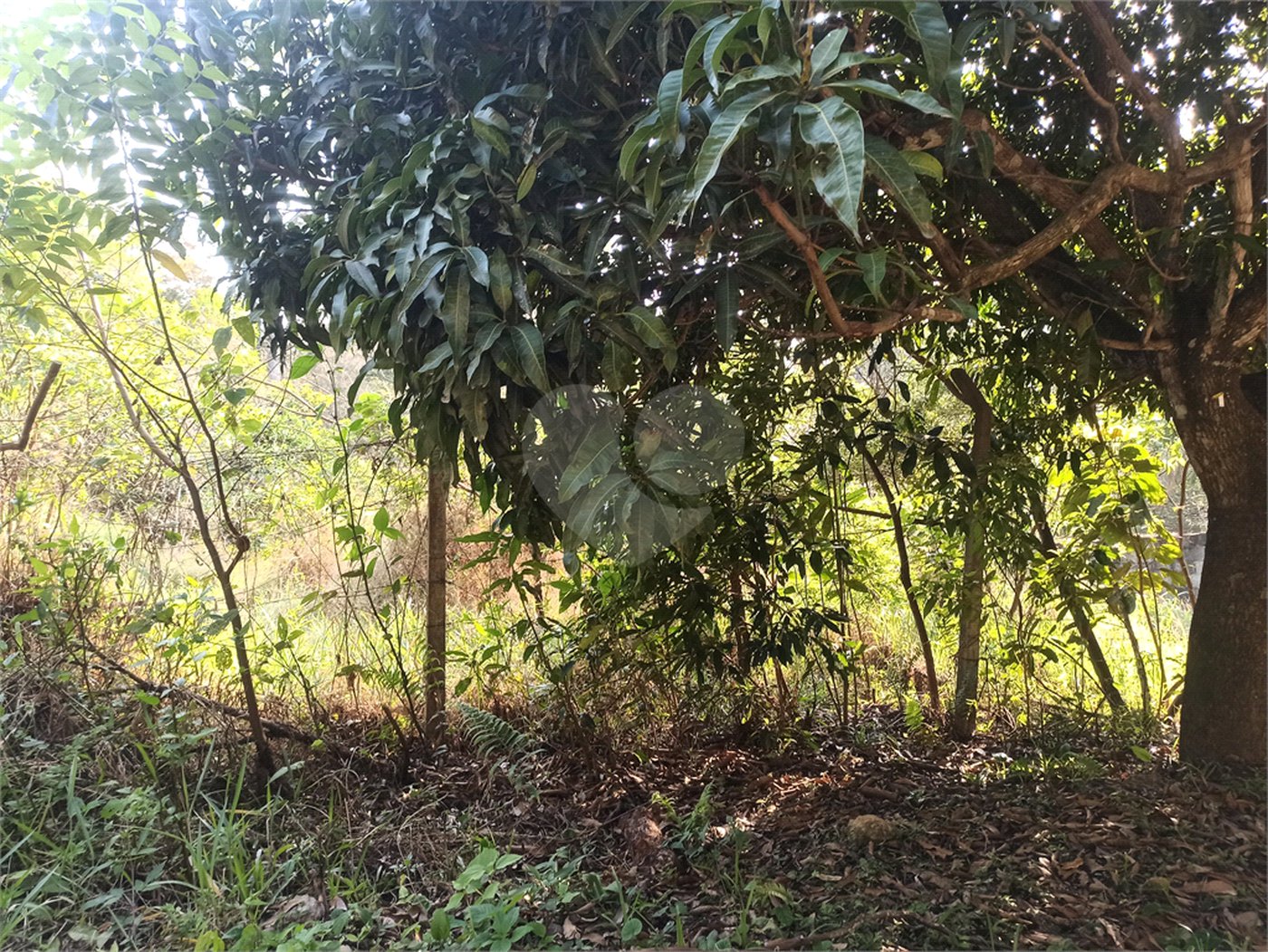Terreno à venda em Bosque dos Eucalíptos, Atibaia, SP