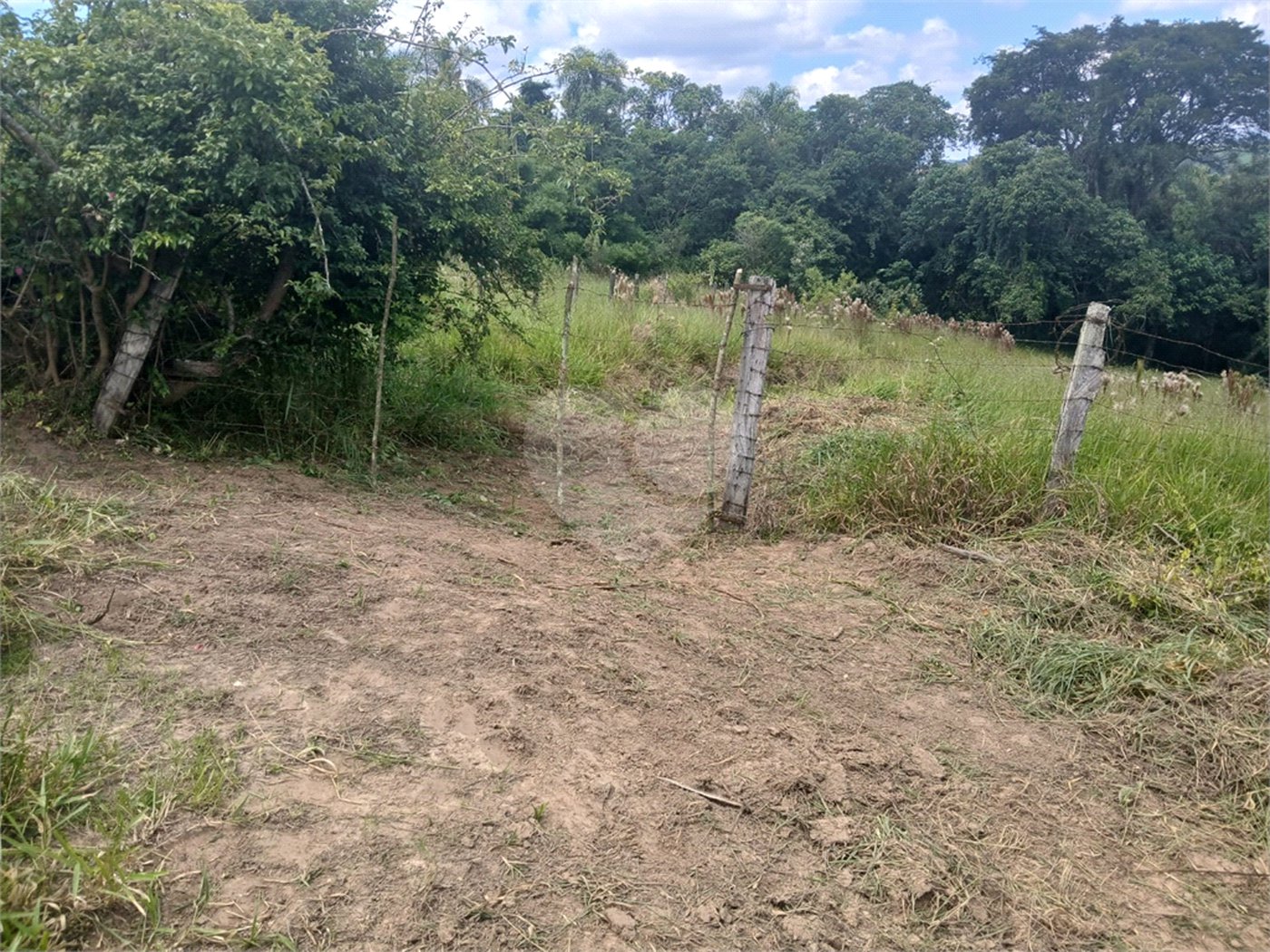Chácara à venda em Bairro Biscoito Duro, Itapetininga, SP