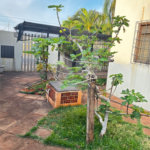 Sobrado para alugar com 4 quartos, sendo 2 suítes,  no Centro, Três Lagoas, MS