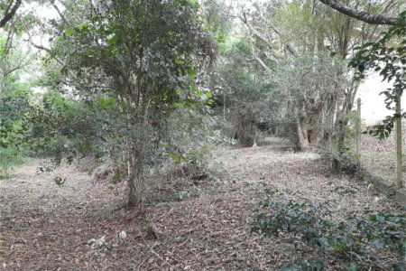Terreno à venda em Chácaras Fernão Dias, Atibaia, SP