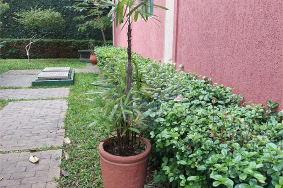 Apartamento à venda com 3 quartos em Mandaqui, São Paulo, SP