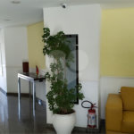 Apartamento à venda com 3 quartos, sendo 1 suíte, em Vila Paulicéia, São Paulo, SP