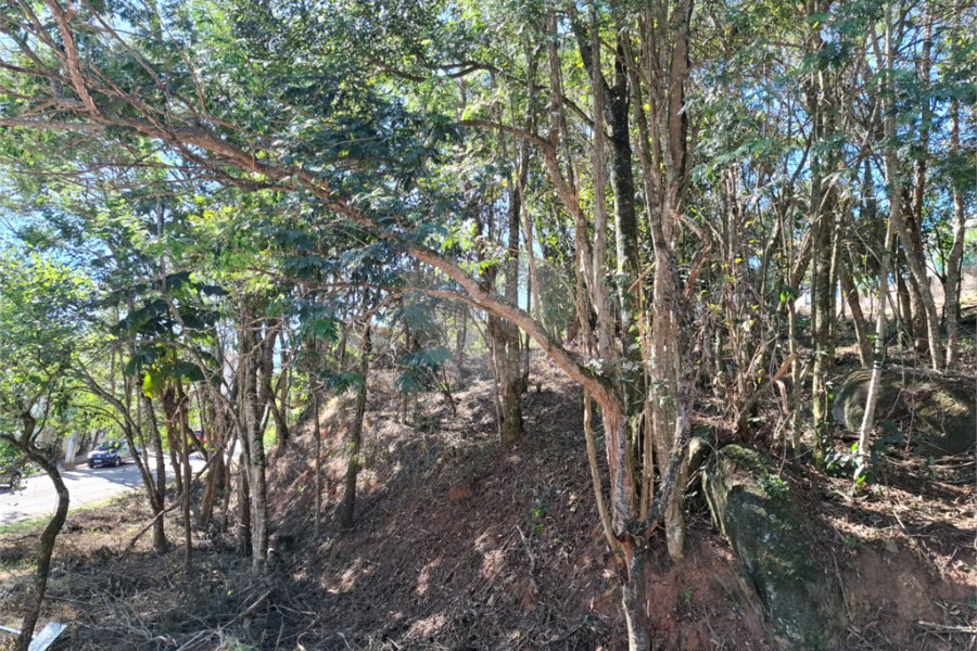 Terreno à venda em Jardim Peri, São Paulo, SP