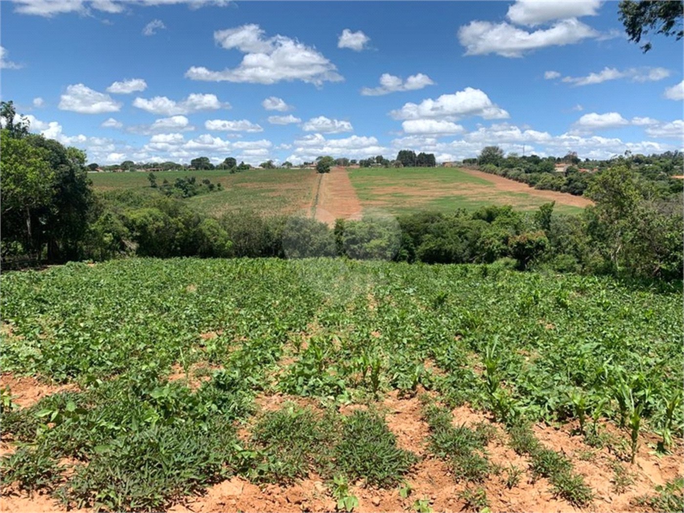 Área de Terra à venda em Cristóvão, Araçoiaba da Serra, SP