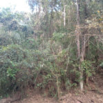 Terreno à venda no condomínio Sausalito, Mairiporã - SP