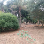 Terreno à venda em Vila Judite, Itapetininga, SP
