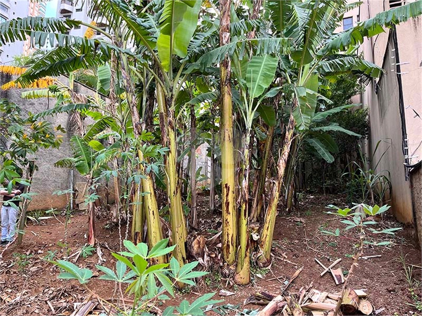 Terreno à venda em Santana, São Paulo, SP