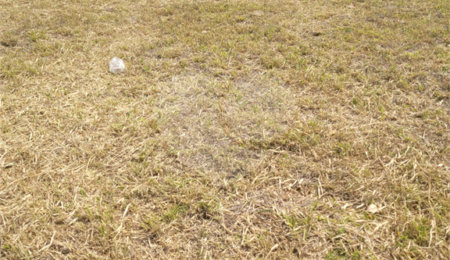 Terreno à venda no condomínio Acmti - Colinas do Mosteiro, Terras de Itaici e Recanto dos Pássaros, Indaiatuba - SP