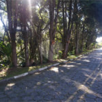 Terreno à venda em Serra da Cantareira, Mairiporã, SP