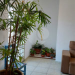 Sobrado à venda com 3 quartos, sendo 2 suítes, em Jardim Alvinópolis, Atibaia, SP