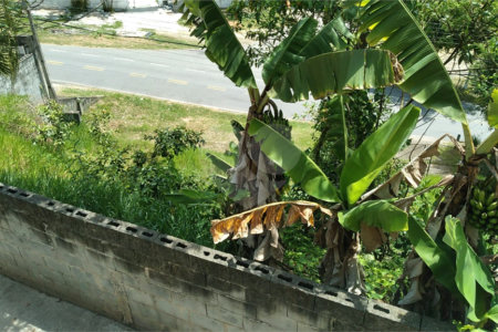 Chácara à venda com 3 suítes em Chácaras Copaco, Arujá, SP