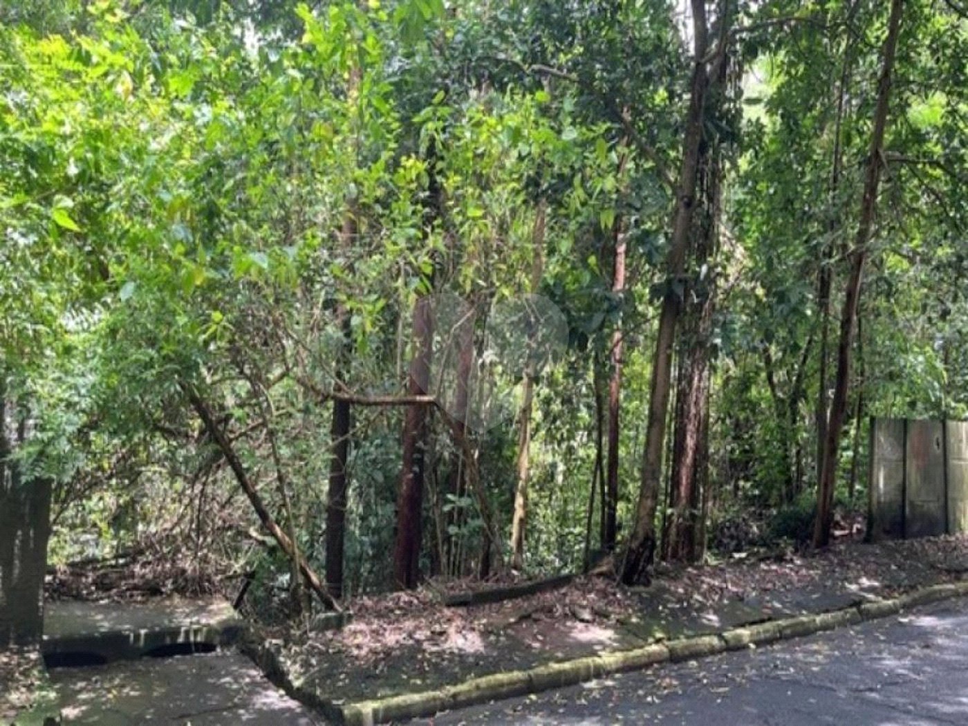 Terreno à venda em Jardim Ampliação, São Paulo, SP
