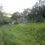 Terreno à venda em Vista Alegre, Vinhedo, SP