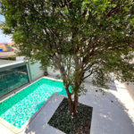 Casa à venda com 3 quartos, sendo 1 suíte, em Jardim Oriental, São Paulo, SP