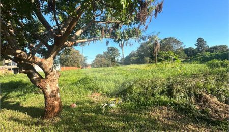 Terreno à venda em Pedro Juan Caballero, Amambay