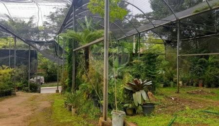 Terreno à venda em Jardim Cordeiro, São Paulo, SP