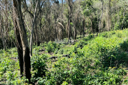 Loteamento à venda em Estância Santa Maria do Laranjal, Atibaia, SP