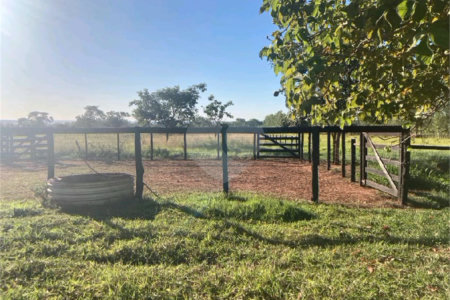 Chácara à venda com 6 quartos no Centro, Terenos, MS